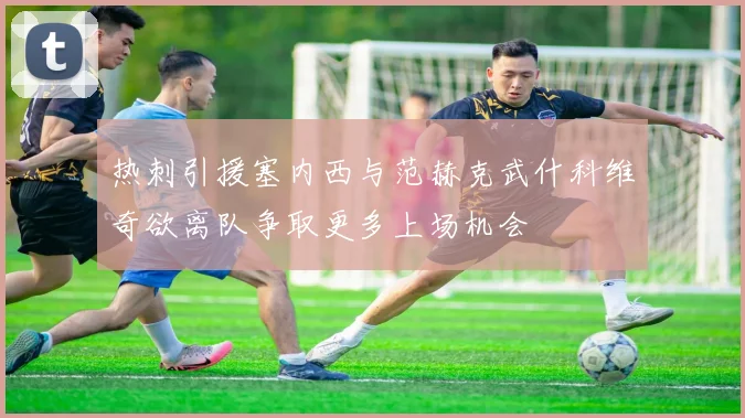 热刺引援塞内西与范赫克武什科维奇欲离队争取更多上场机会